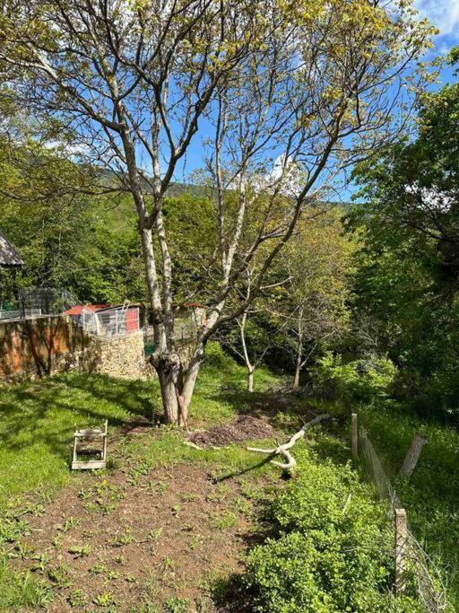 Cosy Mountain Villa In Nizepole ビトラ エクステリア 写真