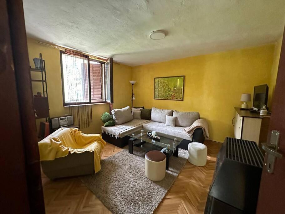 Cosy Mountain Villa In Nizepole ビトラ エクステリア 写真