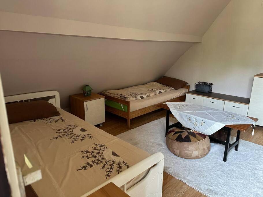Cosy Mountain Villa In Nizepole ビトラ エクステリア 写真