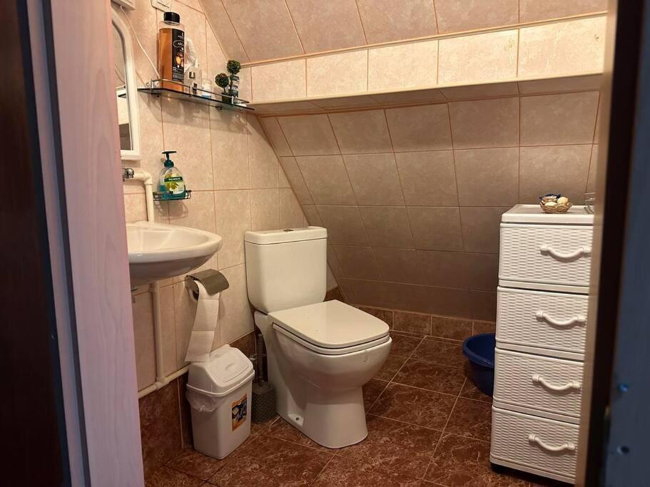 Cosy Mountain Villa In Nizepole ビトラ エクステリア 写真